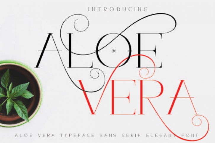 Aloe Vera font preview
