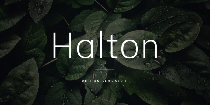Halton font preview