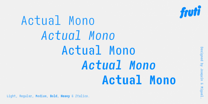 AA Actual Mono font preview