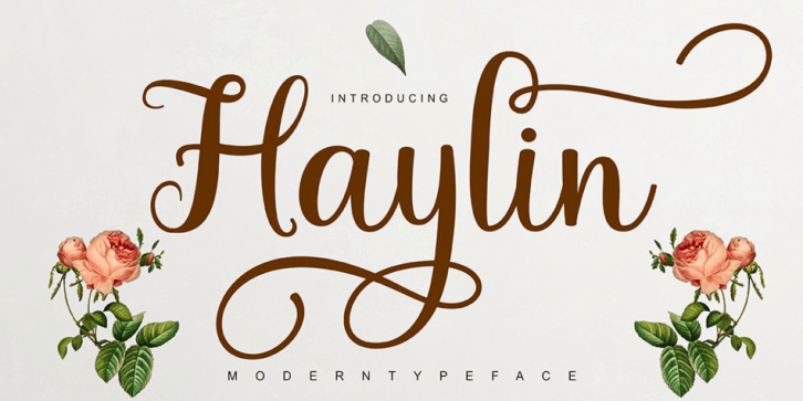 Haylin Script font preview