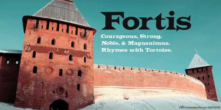 Fortis font preview