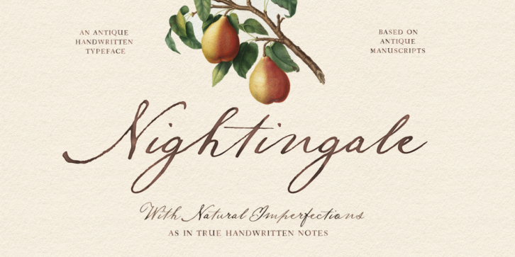 Nightingale Script font preview