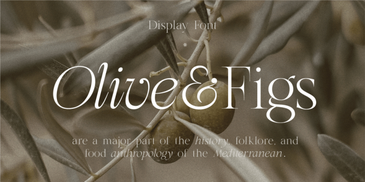 HV Olive and Figs font preview