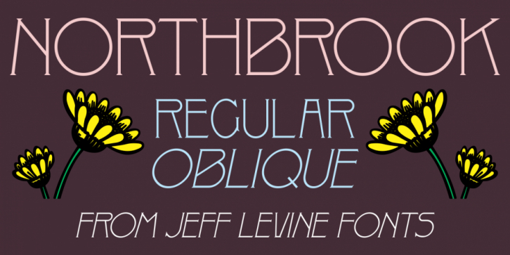 Northbrook JNL font preview