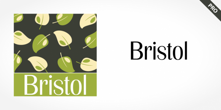 Bristol Pro font preview