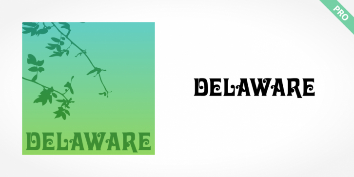 Delaware Pro font preview