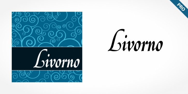 Livorno Pro font preview
