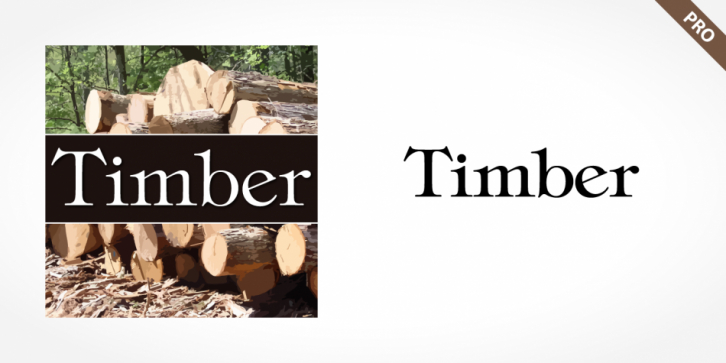 Timber Pro font preview