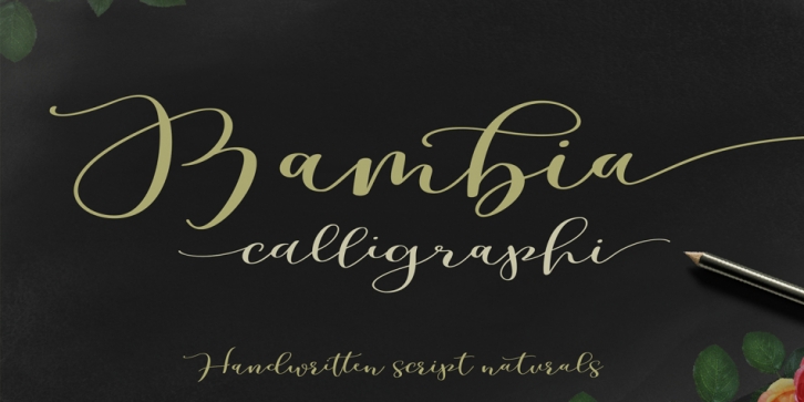 Bambia Script font preview