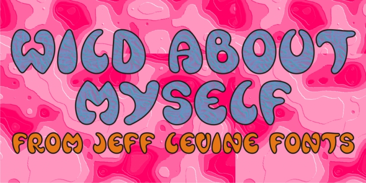 Wild About Myself JNL font preview