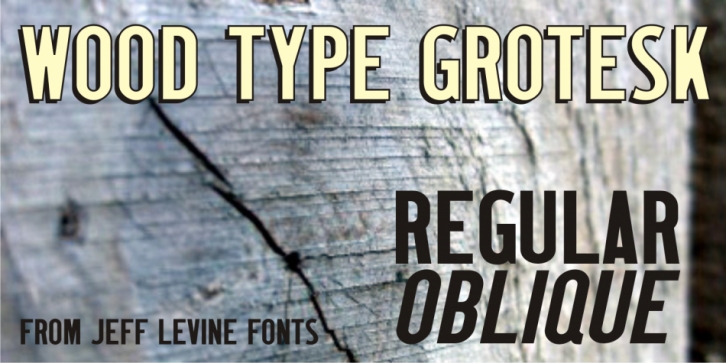 Wood Type Grotesk JNL font preview