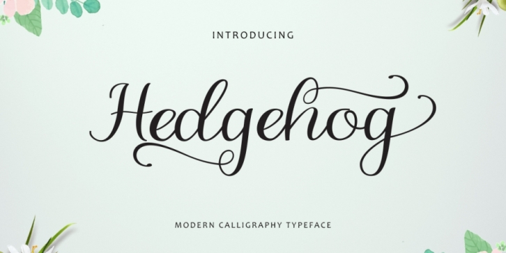 Hedgehog font preview