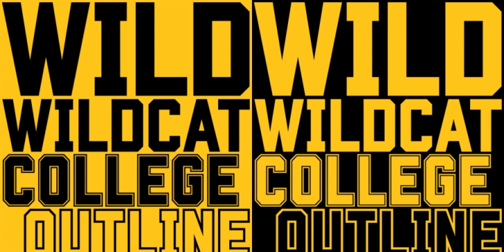 Wildcat font preview