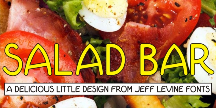 Salad Bar JNL font preview