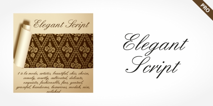 Elegant Script Pro font preview
