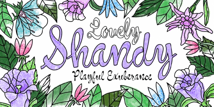 Shandy BF font preview