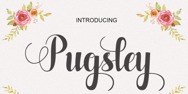 Pugsley font preview