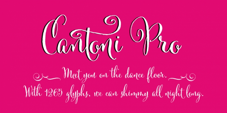 Cantoni font preview