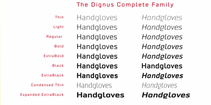 Dignus font preview