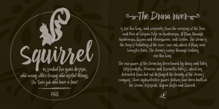 Drina font preview