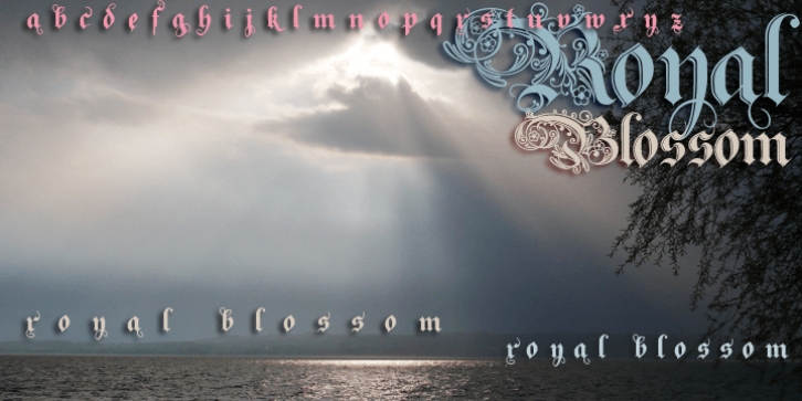 RoyalBlossom font preview
