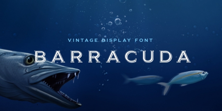 Barracuda font preview