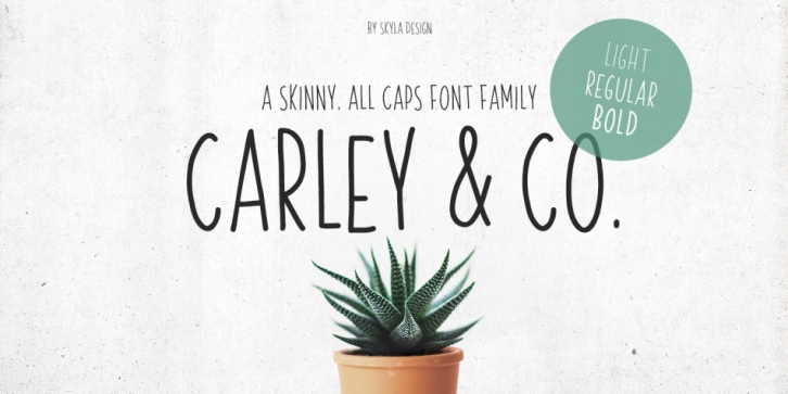 Carley Co font preview