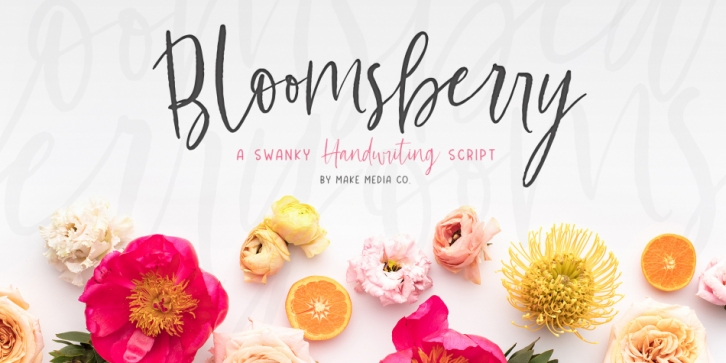 Bloomsberry font preview
