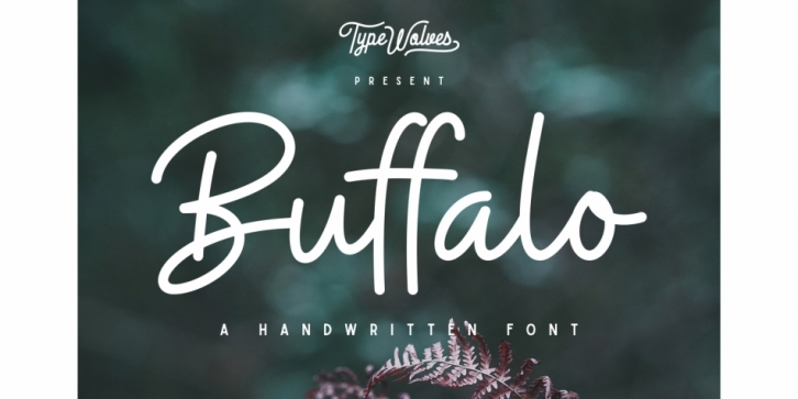 Buffalo font preview
